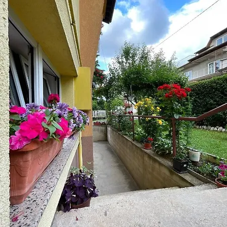 Apartment Dreamy Garden *